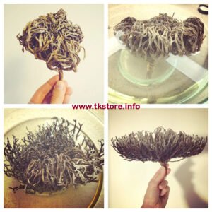 Mariyam Booti Nabi Booti