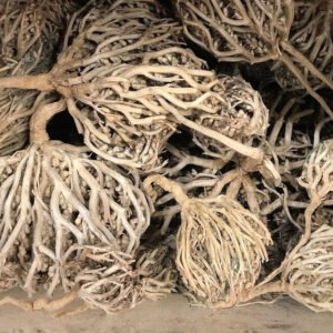 Mariyam Booti Nabi Booti